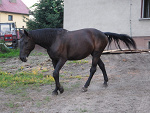 Fotoblog owocak