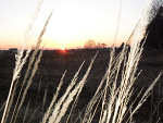 Fotoblog xklaudiunia666x