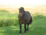 Fotoblog asieczek58