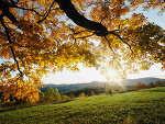 Fotoblog orange1