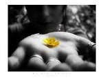 Fotoblog magdalenka772