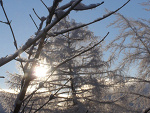 Fotoblog donnalarive