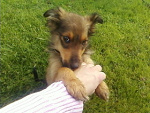Fotoblog grzesiu123