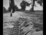 Fotoblog parapapap