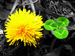 Fotoblog nacocito