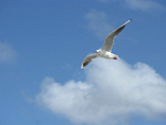 Fotoblog nnevergiveupp