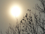 Fotoblog ki20