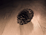 Fotoblog emancypacyja