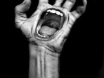 Fotoblog olixxer