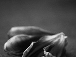 Fotoblog dawidb90