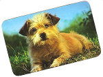 Fotoblog olena98711