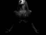 Fotoblog pavornocturnus
