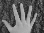 Fotoblog oliwia91198