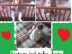 Fotoblog elaimarcin