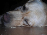 Fotoblog wiktoriax333
