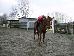 Fotoblog pezzato