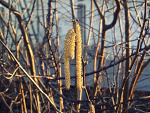 Fotoblog everymooments