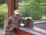 Fotoblog nicolas2632