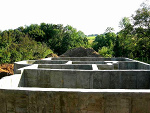 Fotoblog bukszpan