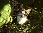 Fotoblog madzix11