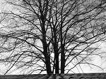 Fotoblog kenaj1