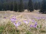 Fotoblog zaanaa