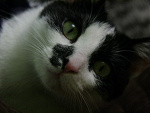 Fotoblog mylove1