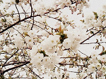 Fotoblog czzarnadaliaa