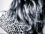 Fotoblog cookiestyle