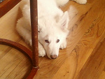 Fotoblog jenax3