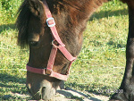 Fotoblog zofi6