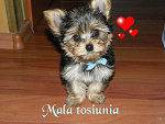 Fotoblog wikiiiiiiiiii