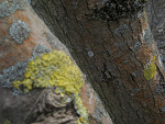 Fotoblog pysieqq
