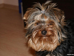 Fotoblog madzia690