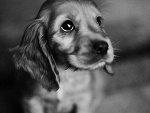 Fotoblog niiktwazny