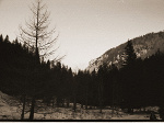 Fotoblog blem