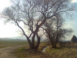 Fotoblog kliryczneja