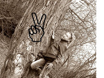 Fotoblog roxi12345