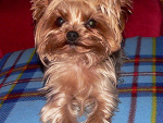 Fotoblog secondsky