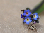 Fotoblog soban89