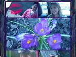 Fotoblog rockefeller15