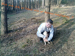 Fotoblog maxs1999