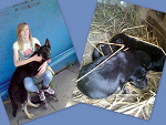 Fotoblog lenka120