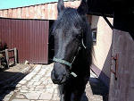 Fotoblog werraa