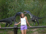 Fotoblog makrela