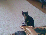 Fotoblog yetiq