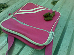 Fotoblog kupapachnie