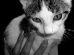Fotoblog lisu18