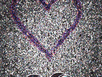 Fotoblog colormystery