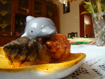 Fotoblog aleowocxb